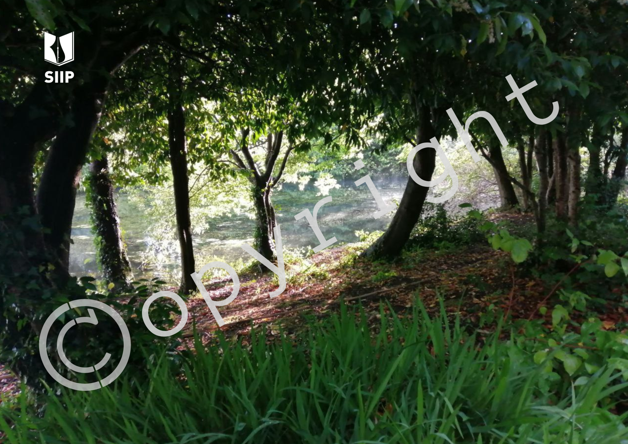 featured image